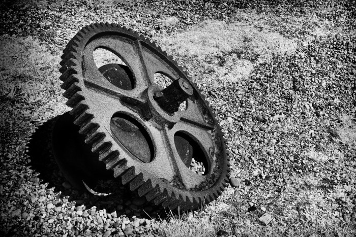 Dungeness